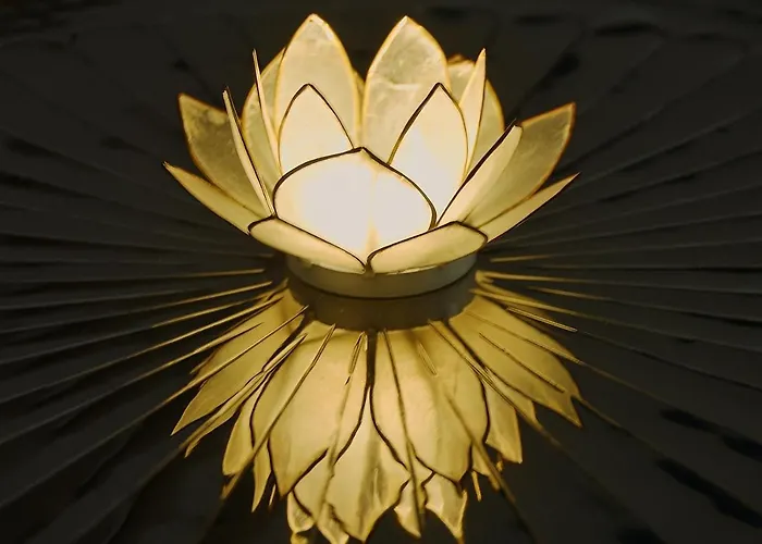 White Lotus דירה *